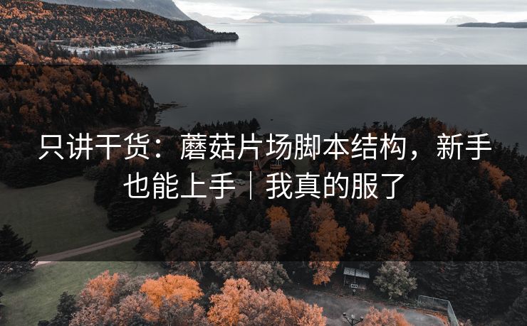 只讲干货：蘑菇片场脚本结构，新手也能上手｜我真的服了