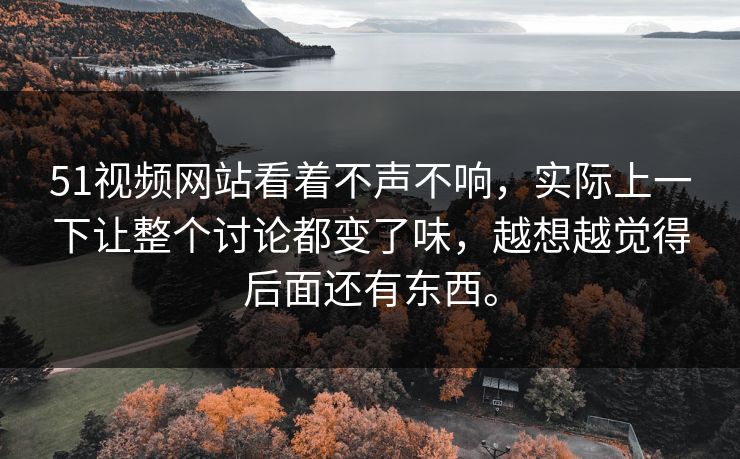 51视频网站看着不声不响，实际上一下让整个讨论都变了味，越想越觉得后面还有东西。