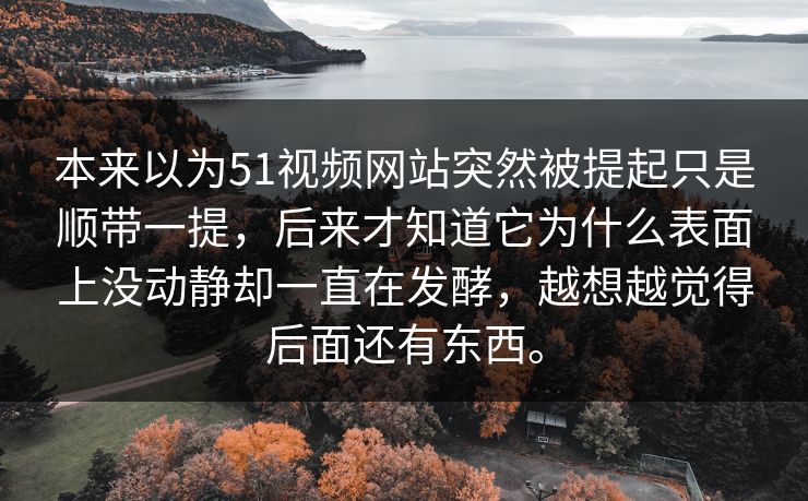 本来以为51视频网站突然被提起只是顺带一提，后来才知道它为什么表面上没动静却一直在发酵，越想越觉得后面还有东西。